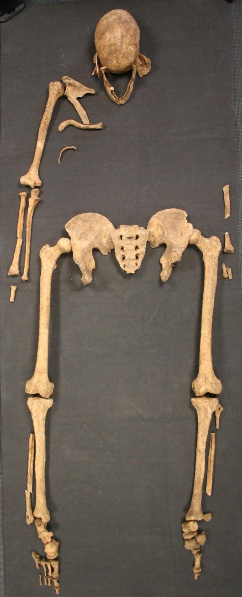 This is the Great Chesterford skeleton.
Credit: University of Southampton.