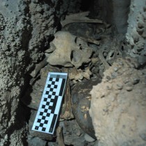 Bronze Age man’s diet and the arrival of new crops in the Iberian Peninsula