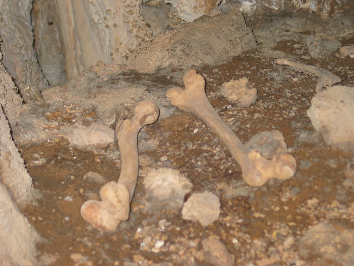 View of the cave floor with two human femurs.
Credit: Image courtesy of University of Granada.