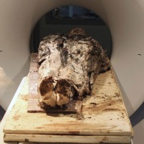 Remains of 17th c. noblewoman found in sealed lead coffin