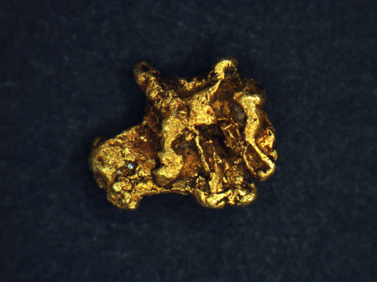 This is gold grain. Credit: Dr Chris Standish