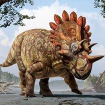 New species of horned dinosaur with ‘bizarre’ features revealed