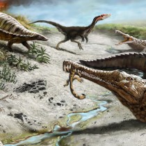 Big dinosaurs steered clear of the tropics