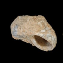 Modern human dispersal into Europe came from the Levant