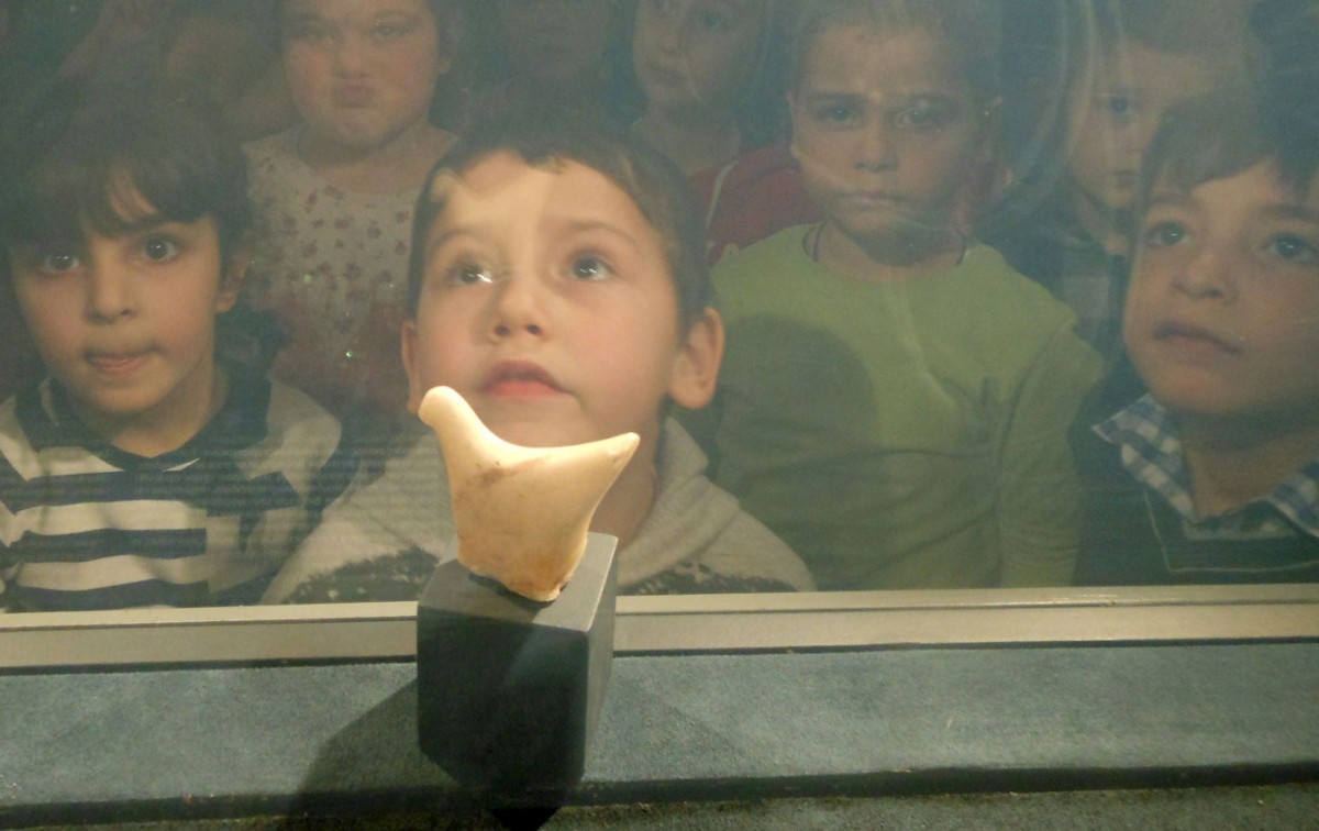 Fig. 2. Snapshot from the educational programme entitled “The circle of figurines” at the Museum of Cycladic Art, with the support of the Diapolis programme of the Aristotle University of Thessaloniki and the approval of the Department of Cultural Affairs of the Directorate of Primary Education. East Attica (archive of V. Deligiannidis).