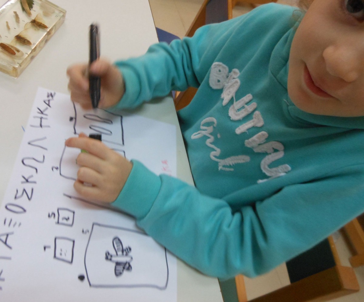 Fig. 3. Infants designing an exhibition for the classroom’s museum corner. Activity from a cultural programme based on the material of a museum kit inspired by the insect collection at the Museum of Natural History (archive of V. Deligiannidis).