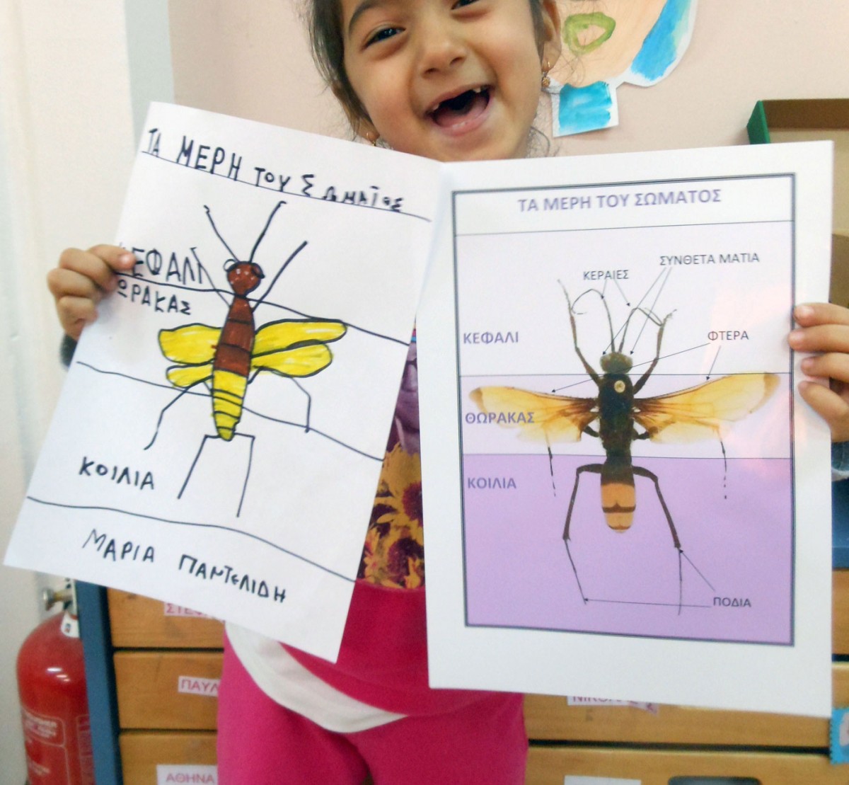 Fig. 4. Infants interpret exhibits in their own way for the class room’s museum corner. Activity from a cultural programme based on the material of a museum kit, inspired by the insect collection at the Museum of Natural History (archive of V. Deligiannidis).