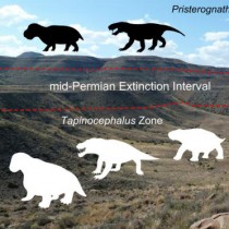Mass extinction event from South Africa’s Karoo