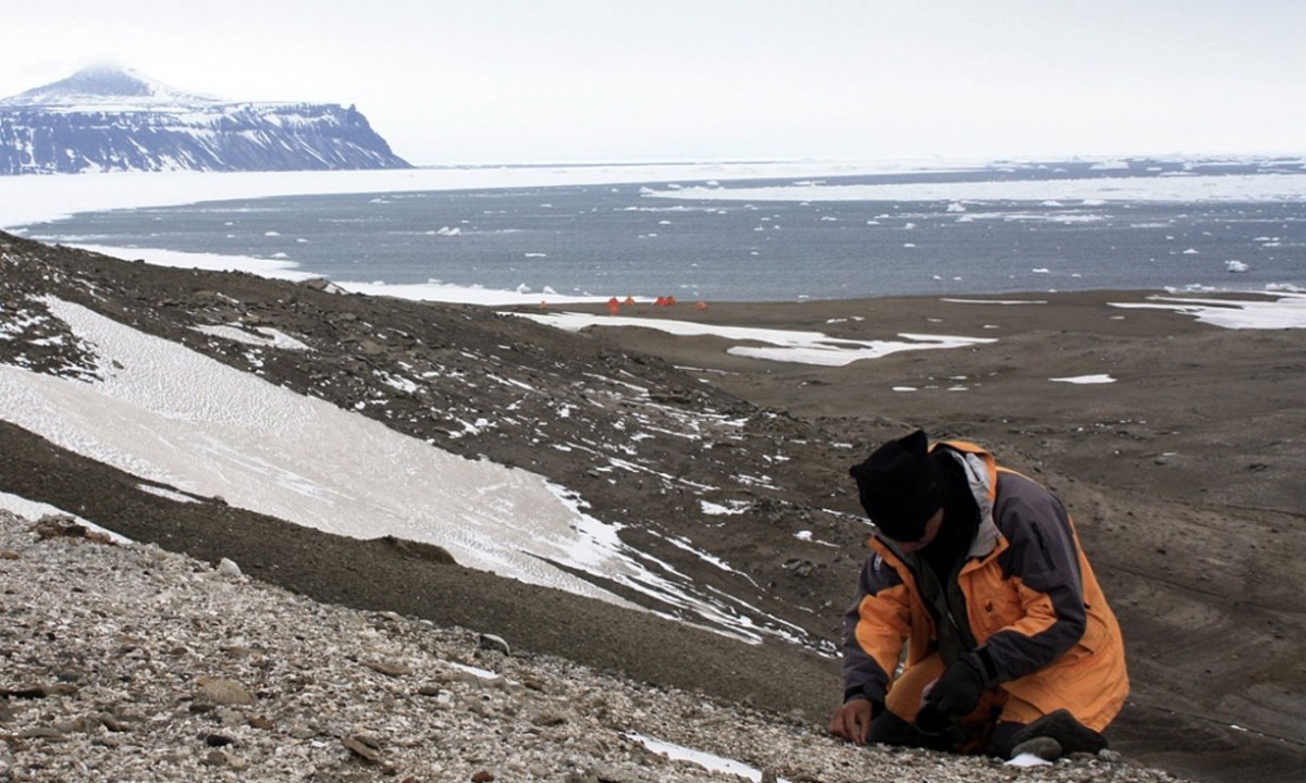 A palaeontologists digging at the site where the fossil was found on Seymour Island, Antarctica. Photo Credit: Federico Degrange / The Guardian.