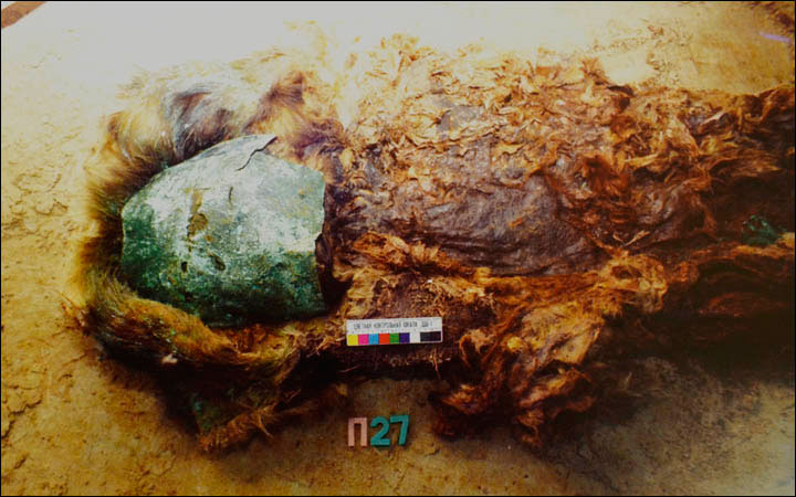 This copper facial mask was found on one of the other mummified bodies discovered at the Zeleny Yar site. Photo Credit: The Siberian Times / Natalya Fyodorova.