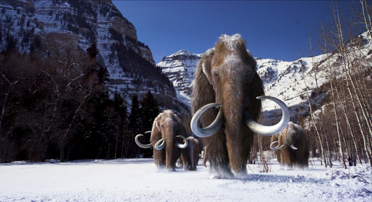 These are woolly mammoths. Credit:
Image courtesy of Giant Screen Films (©) 2012 D3D Age, LLC