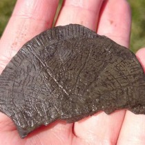Sun discs found on Danish island