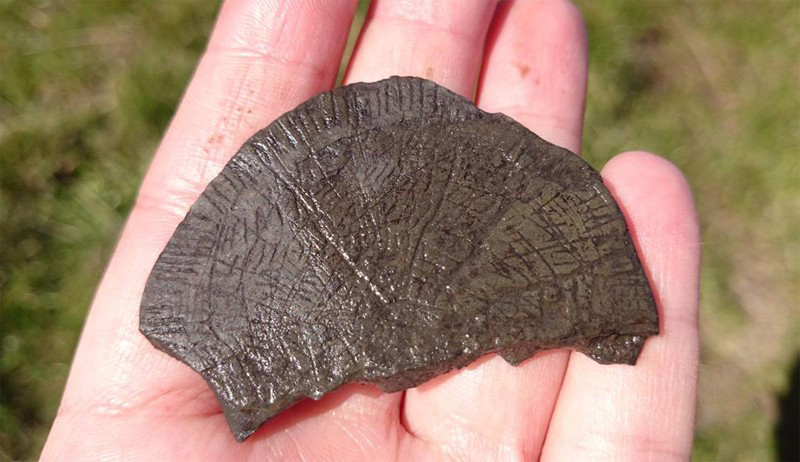 Sun discs found on Danish island