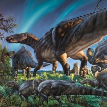 New dinosaur species discovered in Alaska