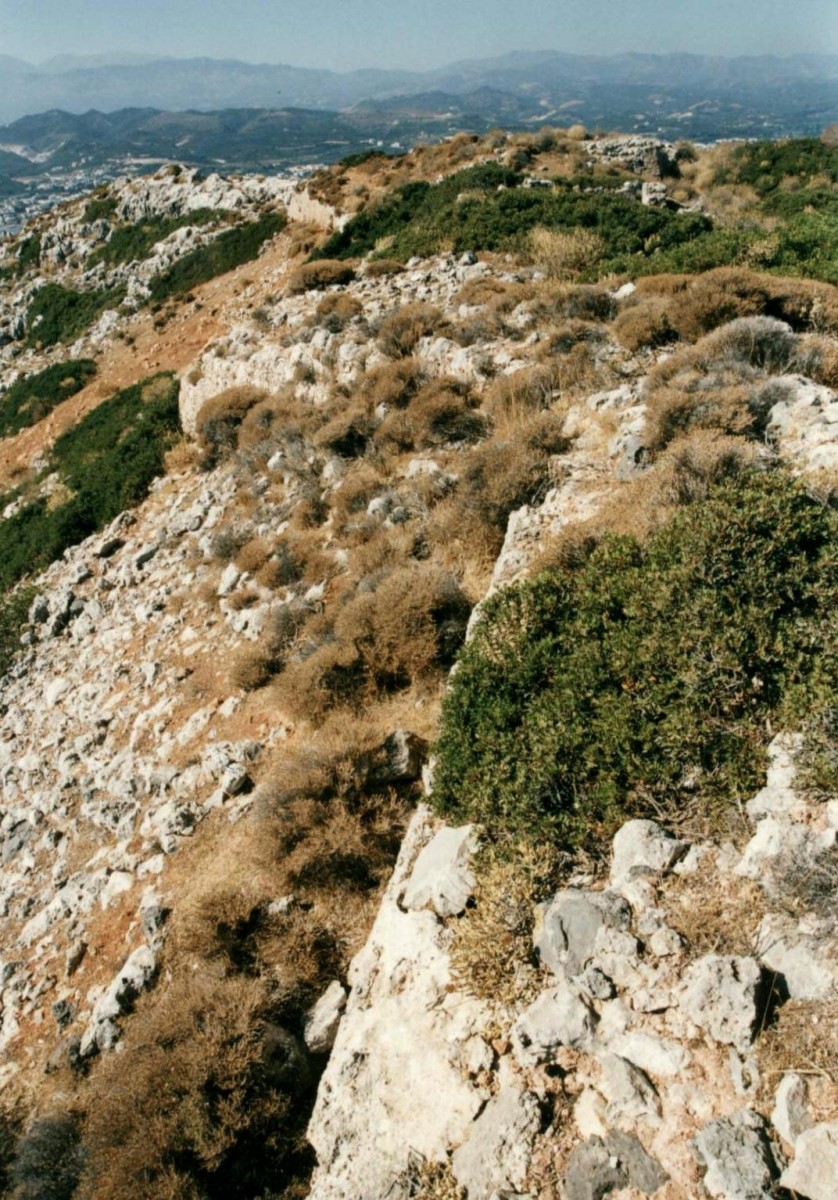 Fig. 25. The islet of Aghioi Theodoroi (Todorou ), the upper fort (Turluru). 