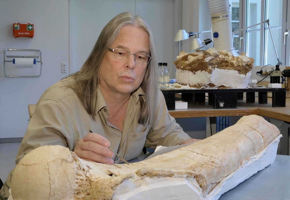 Prof. R.-D. Kahlke inspects the newly preserved 
femur of a mammoth  © T. Korn/Senckenberg Weimar.
