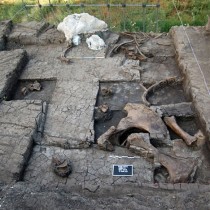 Site of elephant butchering came to light in Megalopoli