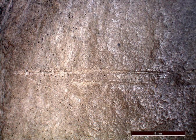 Marathousa 1: Microscope image showing cut marks on an elephant bone (photo: Ministry of Culture, Education and Religious Affairs). 