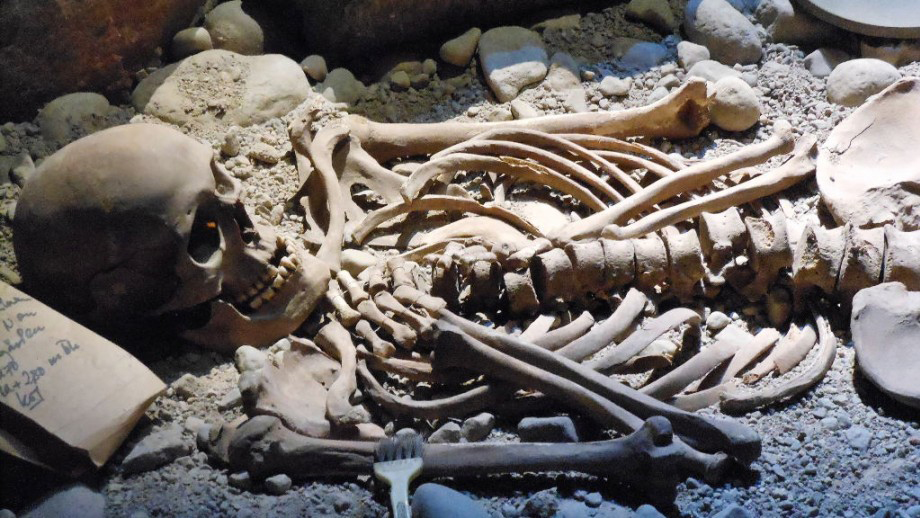 Identifying the sex of human skeletal remains
