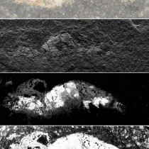 Unlocking secrets of how fossils form