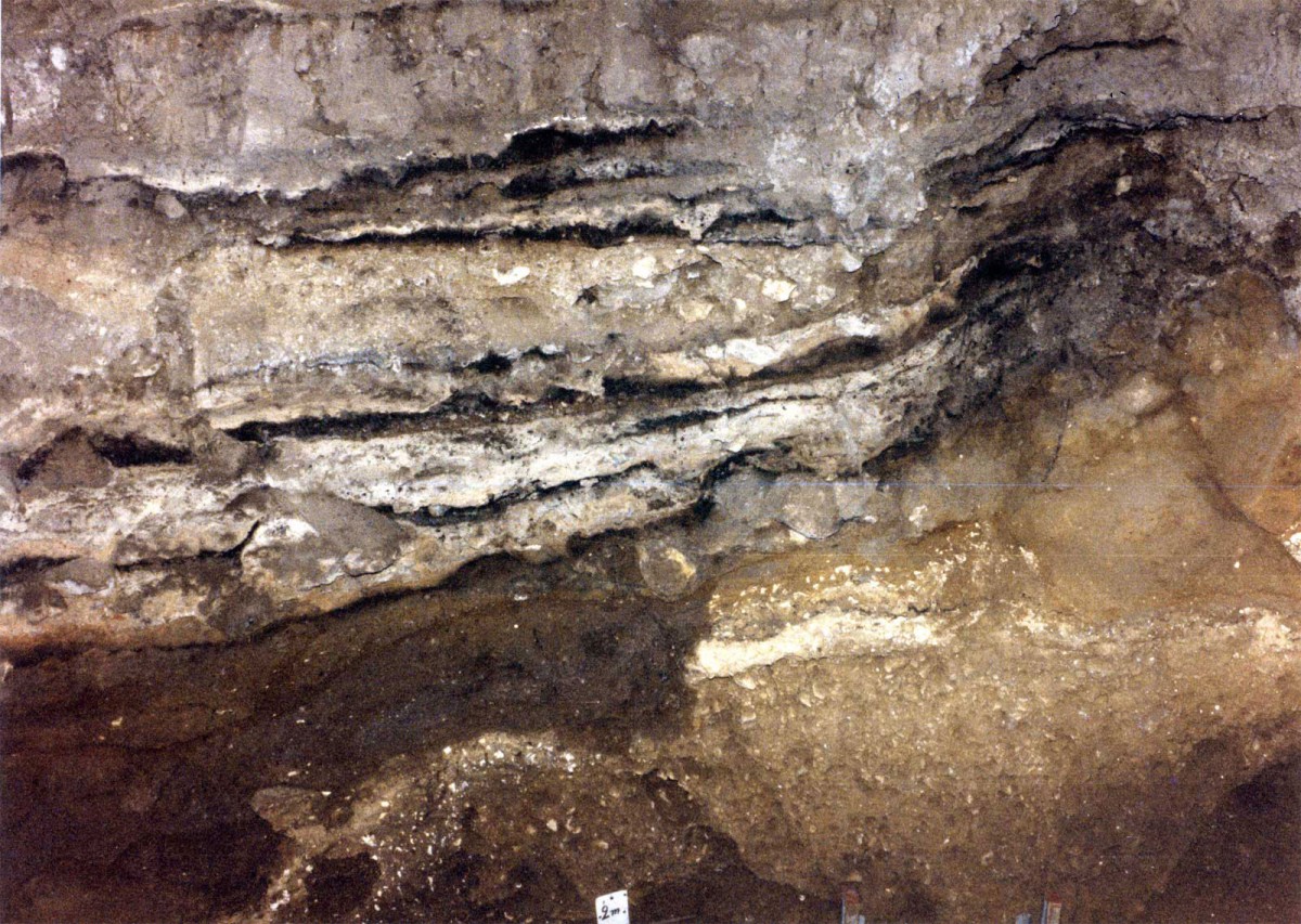 Fig. 10. The stratigraphy of the west side of trenches Ζ8-Ζ9. Beneath the burned Neolithic grey embankments which are mixed with more recent ones - the layers of fire distinguished are more recent-one can see the hard sediment with corner stones and downhill course from the entrance to the centre. It represents the last ice age.