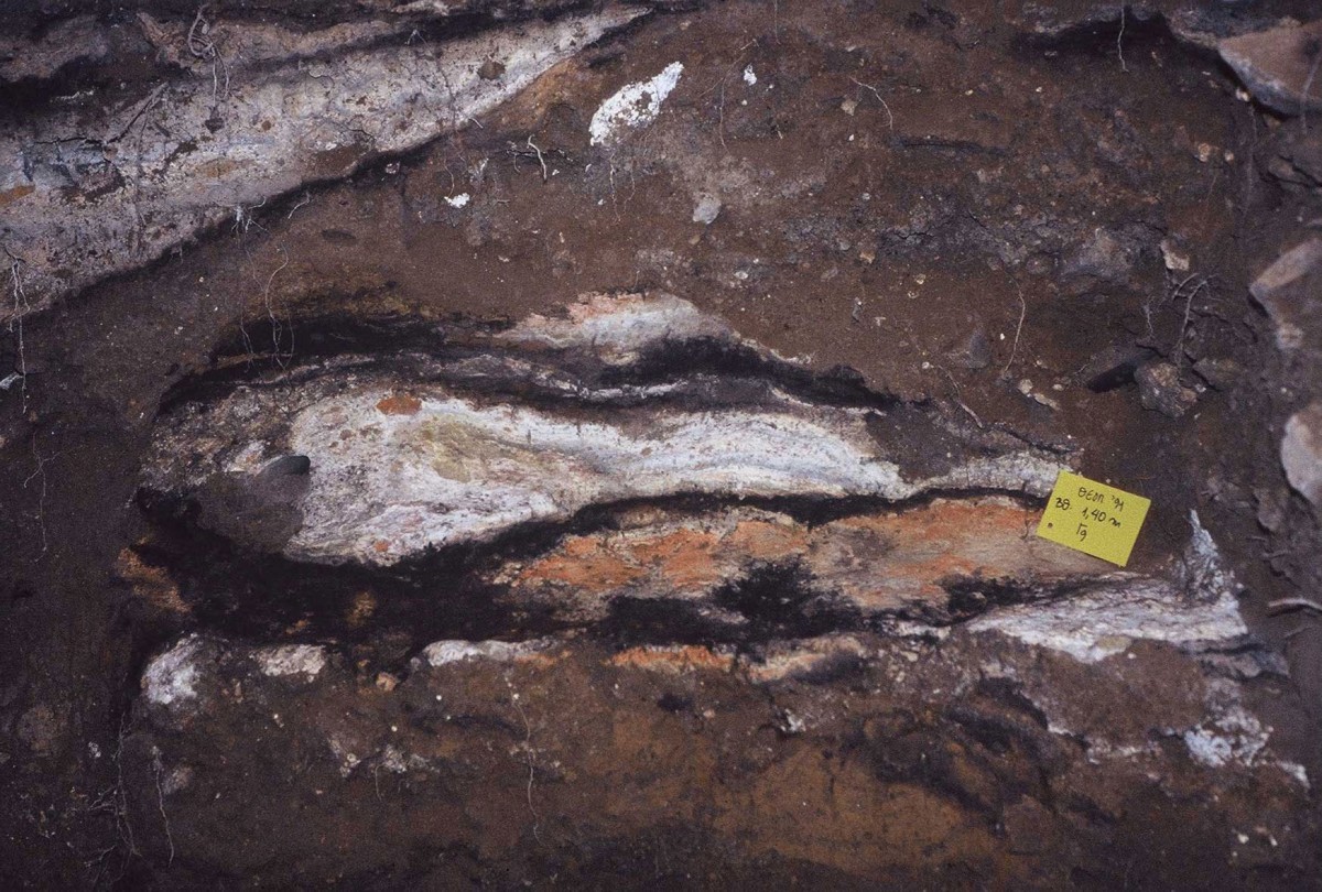 Fig. 21. Mesolithic fires on top of yellow fawn Mesolithic embankment and beneath Neolithic embankment.