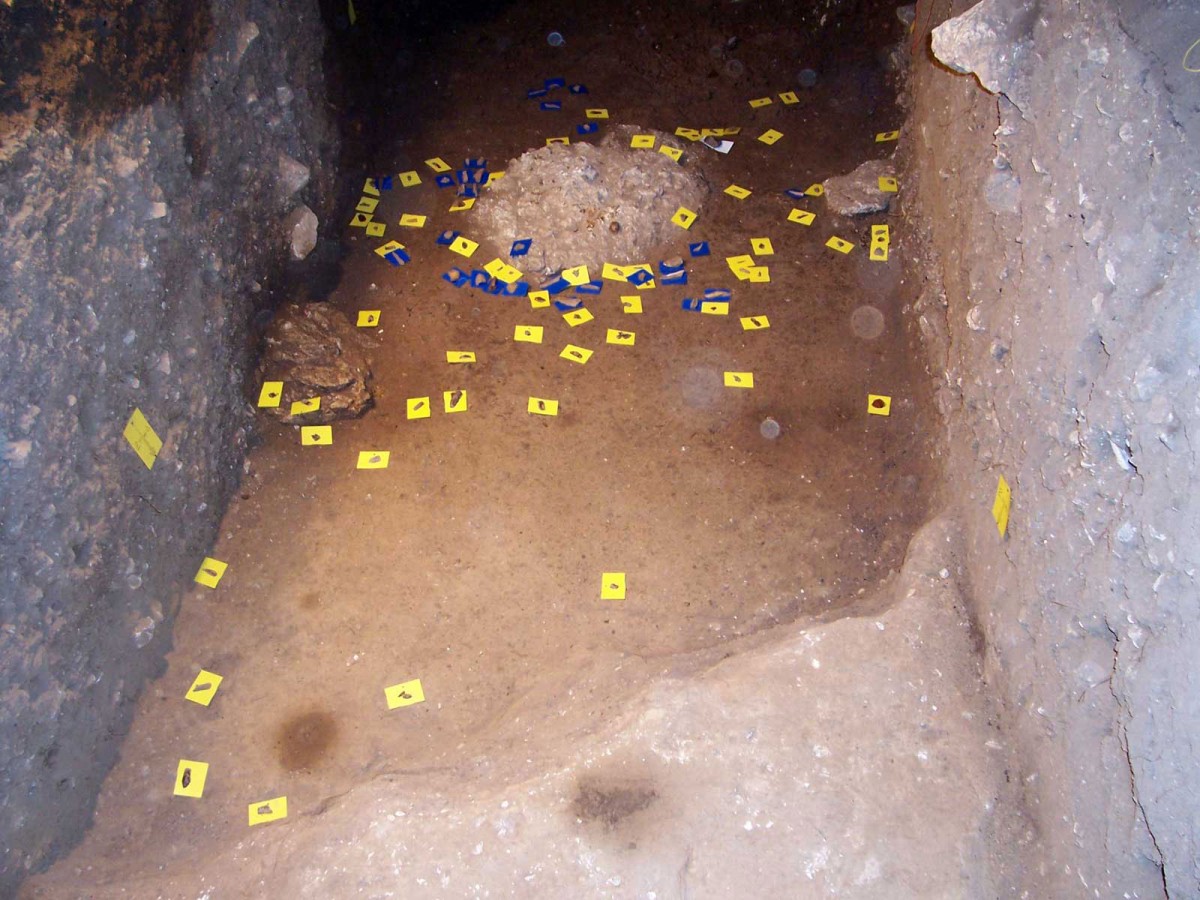Fig. 34. Trench Λ10-Μ10, outside area of diagenesis near the east walls during excavation. Blue tags mark the bones discovered and stone tools are marked by yellow tags.