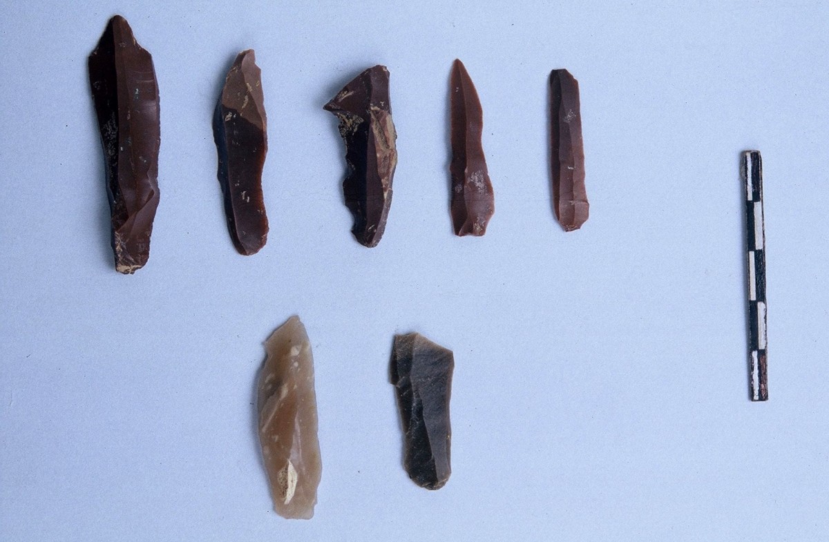 Fig. 12. Blade shaped tools of flint from the Upper Palaeolithic.