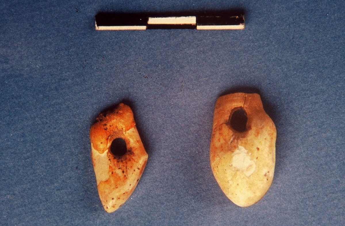 Fig. 14. Two canine teeth of a deer pierced for use as pendant. Upper Palaeolithic, following the maximum glacial.