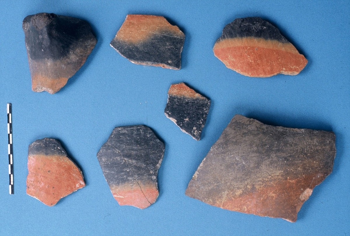 Fig. 18. Fragments of blacktopped vessels from the Upper Neolithic. 