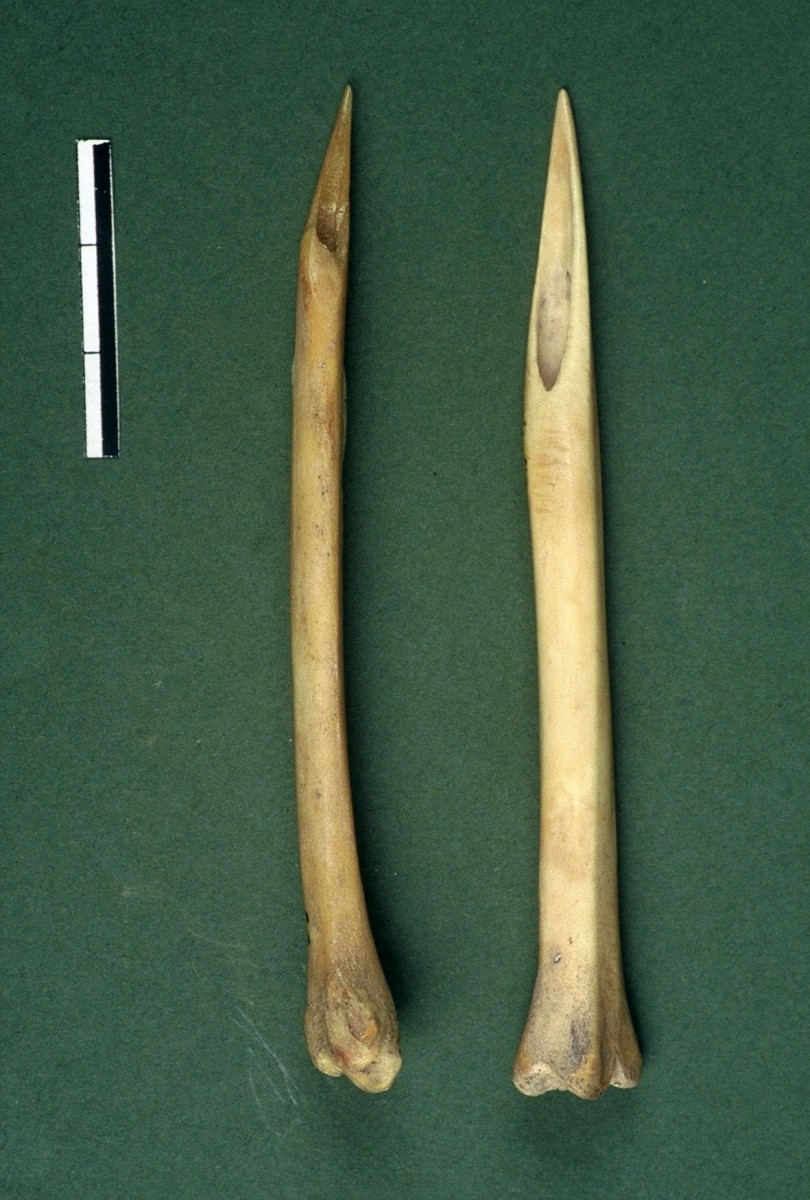 Fig. 28. Two intact bone awls, made of the long bones of small animals. 