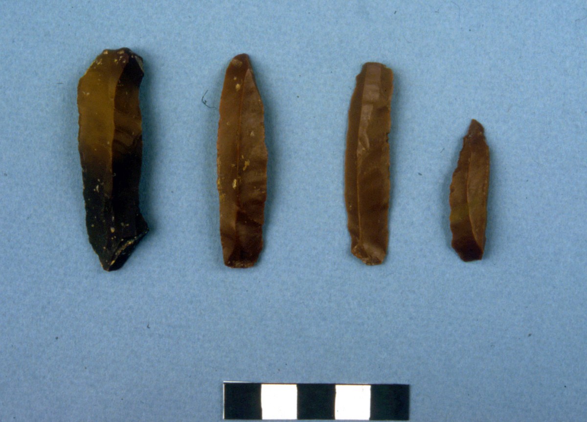 Fig. 32. Chocolate coloured flint blades.