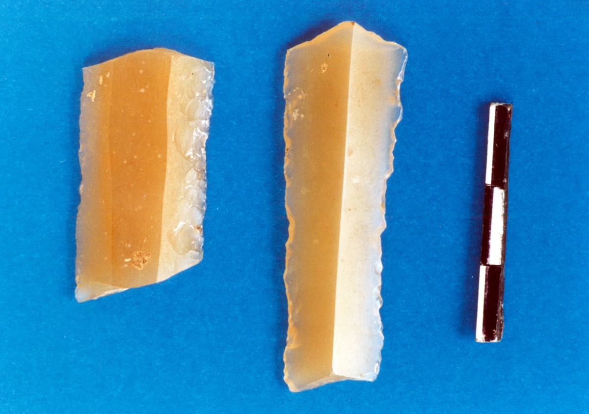 Fig. 34. Blades of honey coloured flint, probably imported.