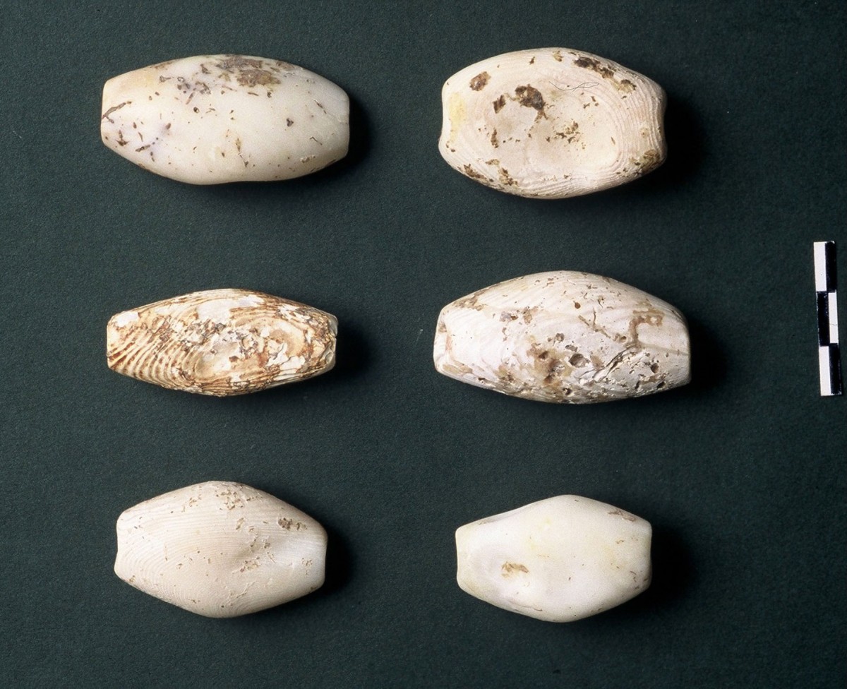 Fig. 43. Large barrel shaped beads made of the Spondylus gaederopus shell which originates from the Aegean. They are familiar to us from the Balkans (Carpathian valley). Our later Neolithic period.