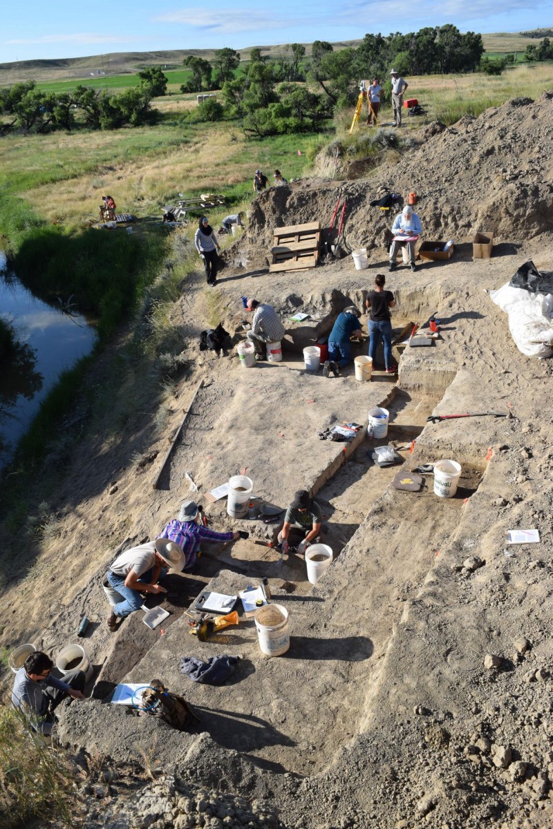 Research backs human role in extinction of mammoths, other mammals