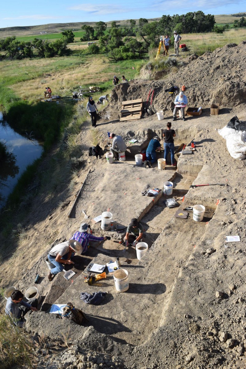 Participants in the University of Wyoming's Archaeological Field School work at the site of a mammoth kill near LaPrele Creek in Converse County, Wyo., during the past summer. A new study by UW researchers supports the hypothesis that hunting by humans led to the extinction of mammoths and other large mammals in the Americas between 12,600 and 15,000 years ago. Credit: University of Wyoming.