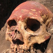 Plague in humans ‘twice as old’ but didn’t begin as flea-borne
