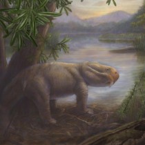 Stability of surviving communities increases following mass extinction