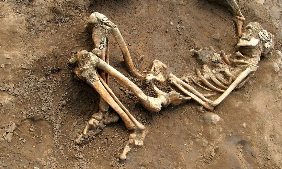 The stories of Roman lives are written on the bones: Roman skeleton found at York University campus. Photo Credit: University of York/PA.
