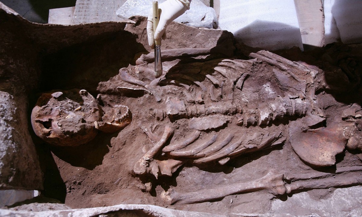 A well preserved Roman skeleton from the 2nd-4th century, found in a lead coffin near Aldborough, North Yorkshire. Photo Credit: Christopher Thomond for the Guardian.