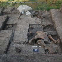 Paleolithic elephant butchering site found in Greece