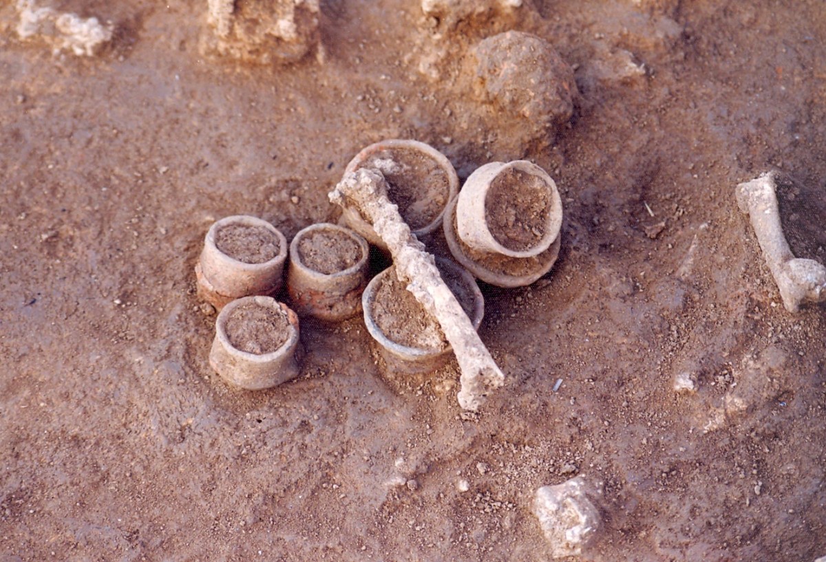 Fig. 5. Miniature vases and animal bone- remains of ritual inside a small pit (αα. 388) on the North Eastern limits of the Neolithic settlement of Toumba Kremastis Koiladas.