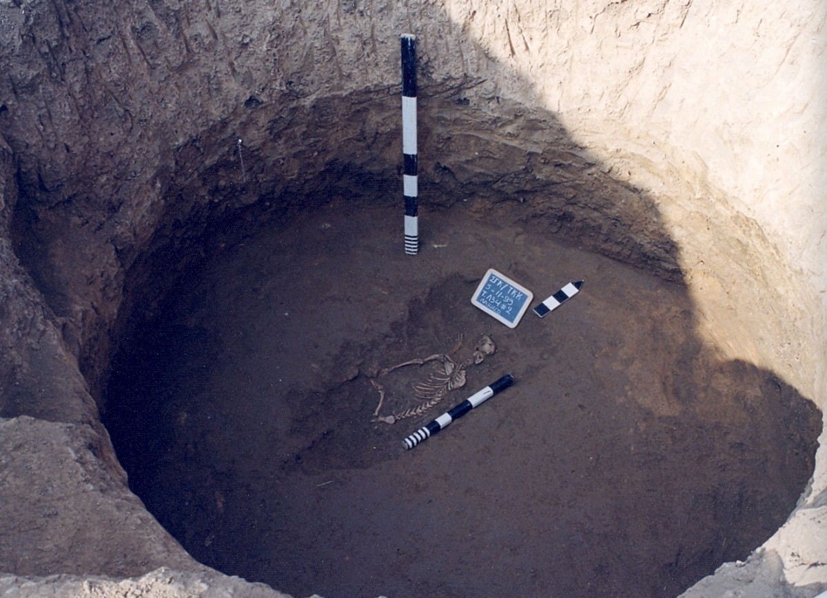 Fig. 6. Animal burial(dog) inside a large pit (αα 110), on the North Eastern limits of the Neolithic settlement of Toumba Kremastis Koiladas.