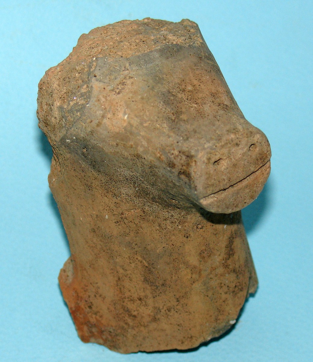 Fig. 6. Section of a zoomorphic vase- head of a pig.