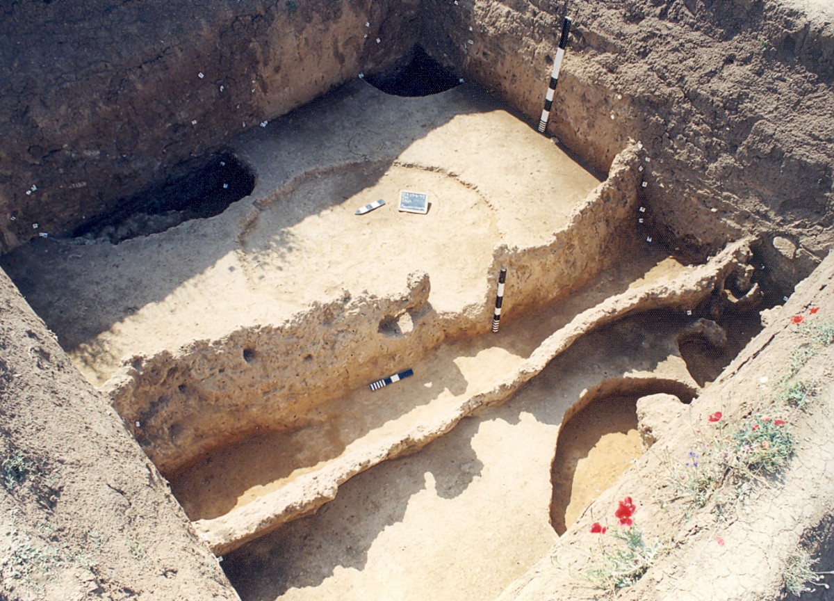 Fig. 3. Toumba Kremastis Koiladas. View of the 1998 excavation.