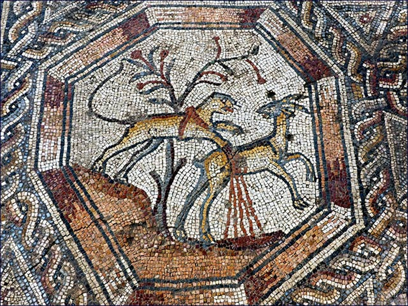Detail of mosaic © Assaf Peretz, courtesy of the Israel Antiquities Authority.