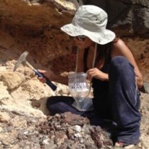 Snail Trails Lead to Climate-Driven Cultural Shift in Ancient Morocco