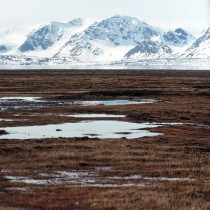 Tropical fossil forests unearthed in Arctic Norway