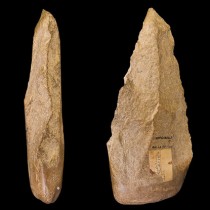 Biologists trace how human innovation impacts tool evolution