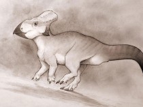 Rare fossil of a horned dinosaur found from ‘lost continent’